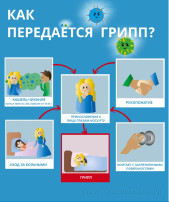 Как передается грипп.